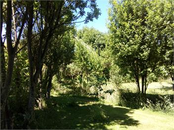 Bowen's Bush - Mahia