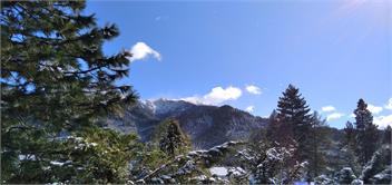 Black Bear Lodge - Hanmer Springs