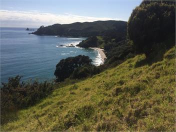 The Kereru's Nest, 248 Tauranga Bay Rd, Kaeo, Far North - Far North