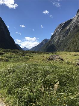 Kepler Oaks Luxmore Chalet - TE ANAU 9679