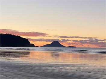 Korimako - Whakatane