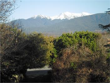 Little Braes - Te Anau
