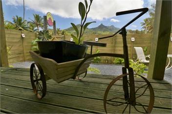 ShineAwayHomes-Mountain View with AC - Rarotonga