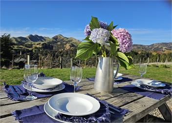 Moeraki Station - Holiday House - Martinborough