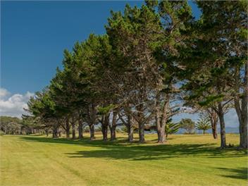 Hosts on the Coast Taranui's Nest - Matarangi