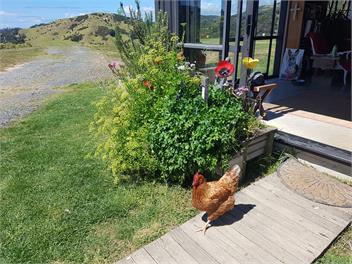 Whananaki Barn -Off Grid Living with Beach Views! - Whananaki North