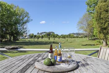 Hosts on the Coast Orchard Views - Cooks Beach