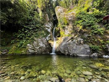 Punga Heights - Lake Kaniere