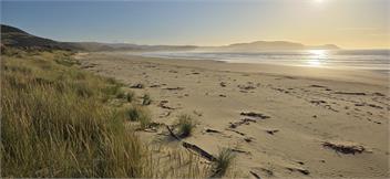 Hideaway Beach Cottage, Curio Bay - Curio Bay