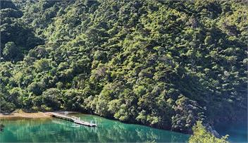 Tuangi - Picton