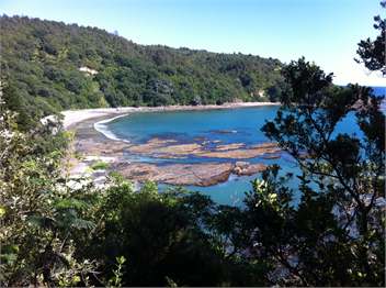 West End Bliss - Whakatane