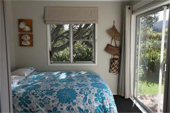 TUI PANGO - Coromandel Peninsula