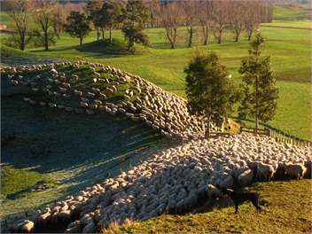 Mangarara Eco Lodge - Havelock North