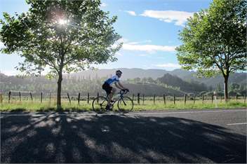 Secluded Haven Near River, Bush, Beach & Havelock - Havelock North