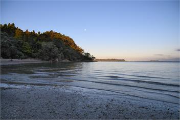 Stunning clifftop oceanview house auckland - Auckland
