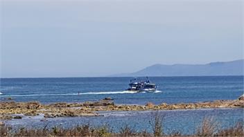 K'orca Cottage by the Sea - Kaikoura