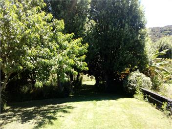 Bowen's Bush - Mahia