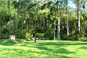 Bell Birds & Sea Views Cottage - Punakaiki