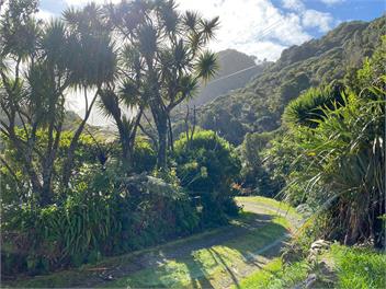 The Blue Bach 12 Mile Coast Road Motukiekie - Greymouth