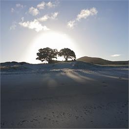 Medlands Retreat - Great Barrier Island