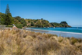 Sunny & Spacious Palm Beach Studio - Waiheke