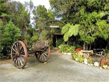 Immerse yourself in the West Coast native flora and fauna - swimming, sunsets and tranquility - Westport