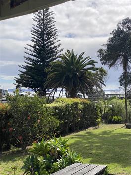 Lil Pink Gin - Northland