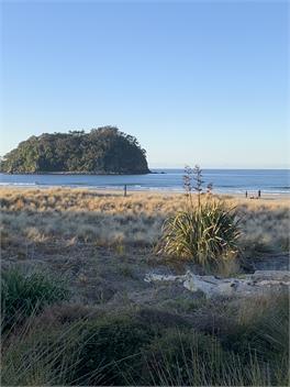 Premium Location with it all ! Beach shops +More Te Ngaio Road - Mt Maunganui