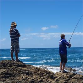 Northwind Lodge - Houhora