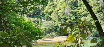 Tuangi - Picton