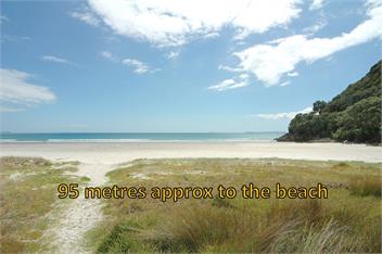 The Cove Matarangi - Richardsons -
