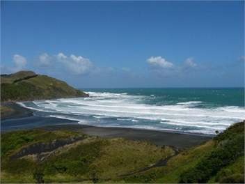 The Fern and Fossil - RD TE KUITI