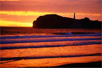 Castlepoint Escape,  Mustering Hut,   - Masterton