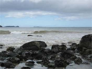 Ringaringa Beach Cottage - Oban