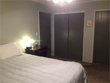 Luxury beach front - Dunedin