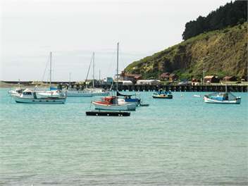 Oamaru Holiday Cottage - Oamaru