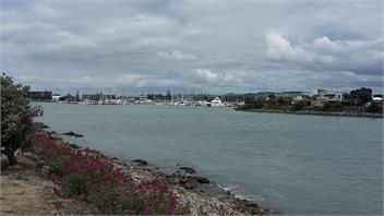 Burts on Gardiner - Napier