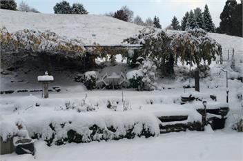Stunning Rural Spot with Amazing Views - Queenstown