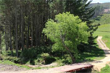 Unwind in Paradise Valley - Rotorua