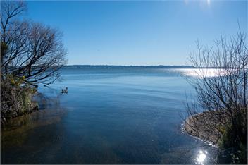 "Taha Moana" Step out the door onto the lake front - Rotorua