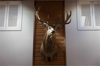 Windsor Lodge - Alpine luxury for large groups  - Queenstown