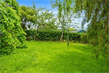 Winara Winner (Bachcare) - Waikanae