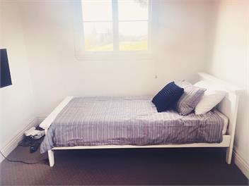 Honey Bee Cottage - Lower Moutere
