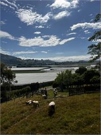 Dehra Doon Chalets - Tasman
