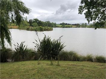 Kererū Cottage - Cheviot