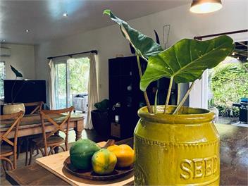 Hidden Palms Three Bedroom Villa - Rarotonga, West