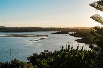 Black Marlin Bach - Kerikeri