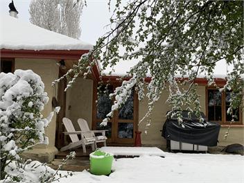 The Old Orchard Cottage - St Bathans
