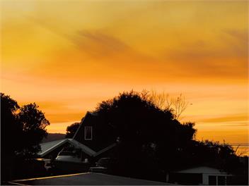 Hokianga Haven -