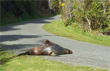 Awatea Beach House - Stewart Island